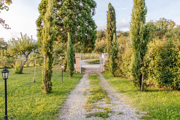 Il viale d'ingresso