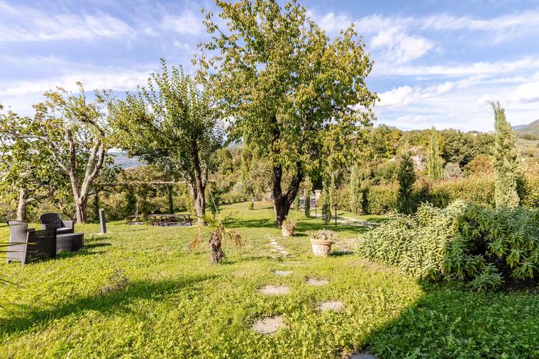 Il giardino tra gli alberi
